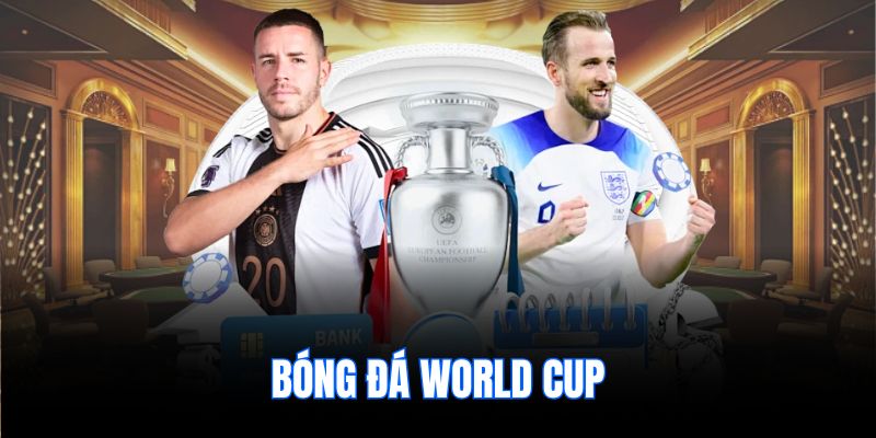 bóng đá world cup